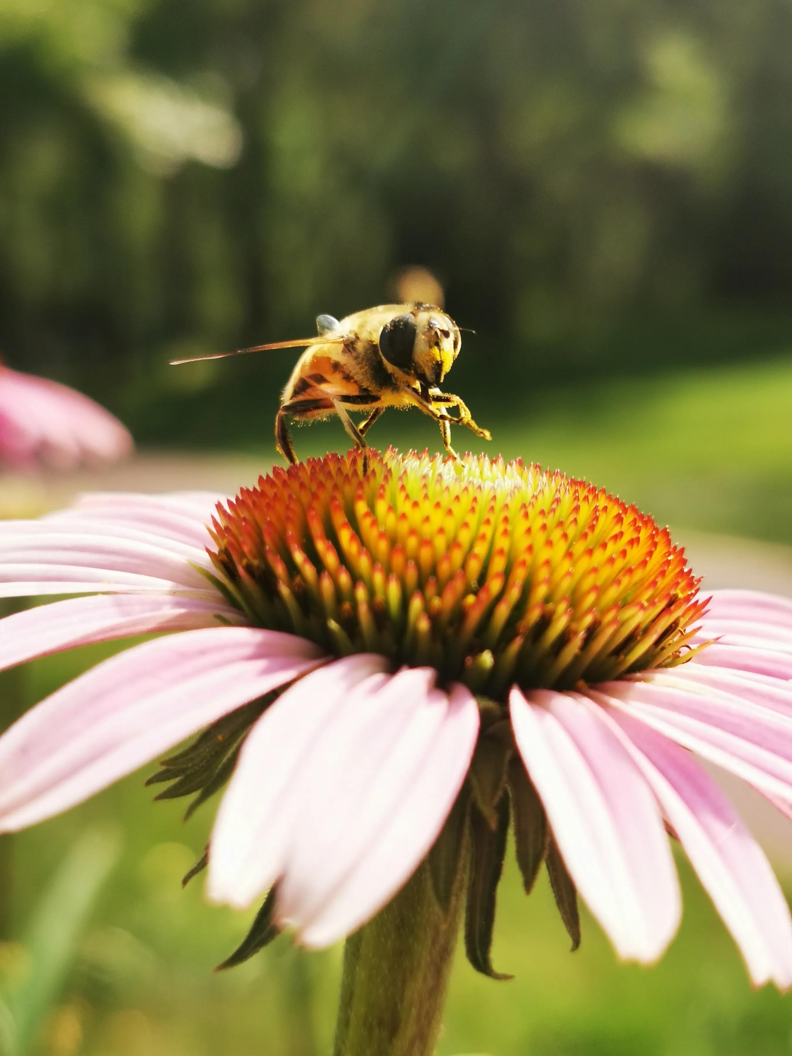 手拍世界手机摄影平台,手机摄影作品集大全集