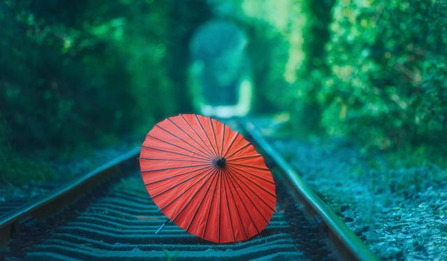 中国军事禁地风景区,玄武湖是中国最大的皇家园林湖