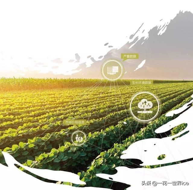 基层农业信息化推广方案,农业信息化技术推广工作