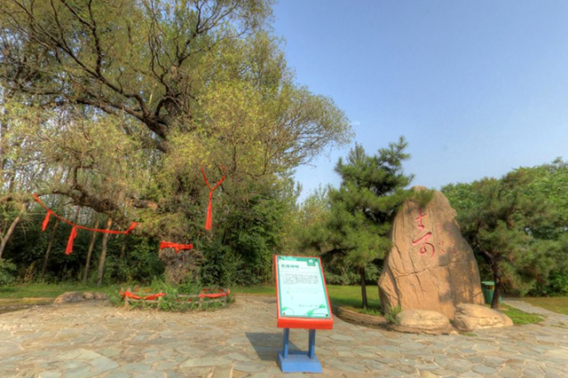 沈阳情侣游玩景点推荐,沈阳适合情侣玩的地方景点