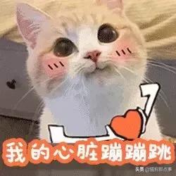 爱我，就给我舔屁股吧