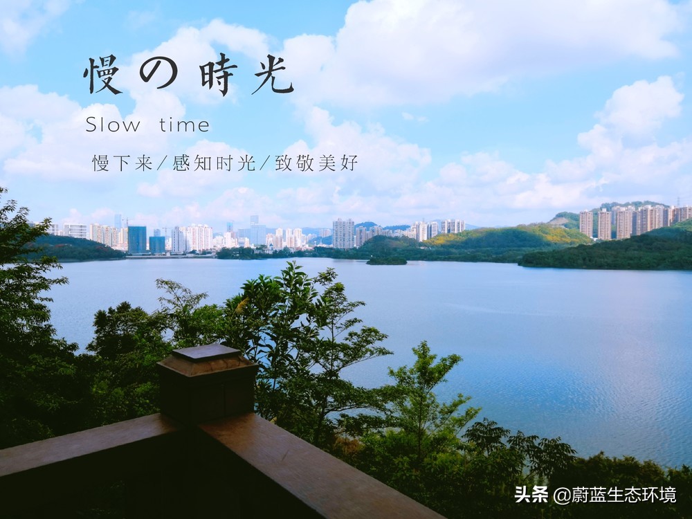 深圳最好的公园东湖公园,深圳东湖公园有哪些风景区