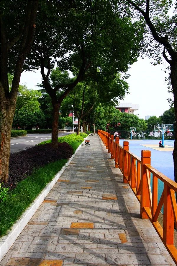 湖北省百强中学排名,最新湖北省高中100强