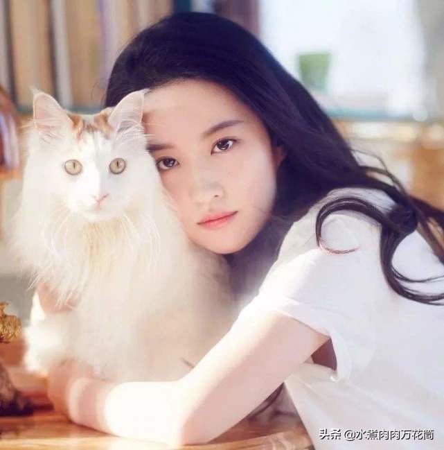 新型骗局养猫被骗,新型骗局网上养猫是真的吗