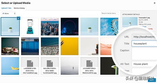 wordpress网站结构优化,wordpress网站能做到多漂亮