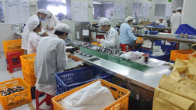 哈丁宝贝品牌店,哈丁宝贝护肤品怎么样