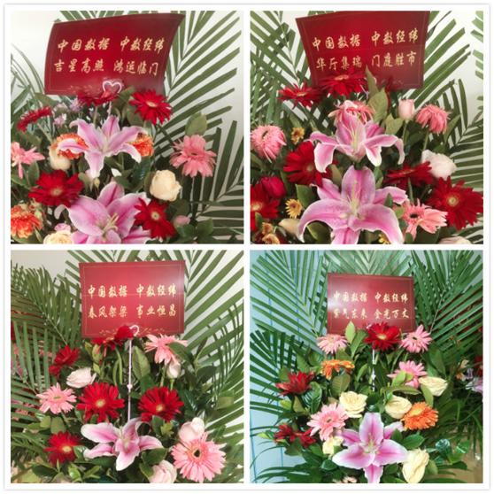 涔旇縼澶у枩钃媰鍙戝睍澶у睍楦垮浘,涔旇縼澶у枩涓囦簨椤烘剰