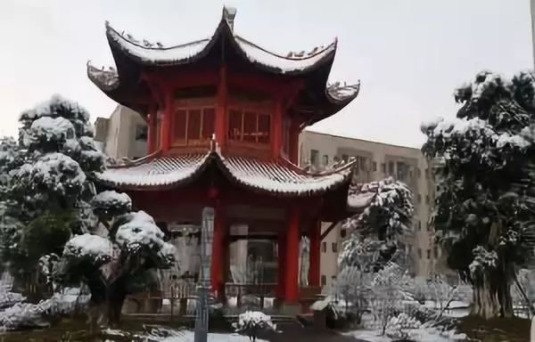 重庆育才高中班型,重庆育才中学各校区排名