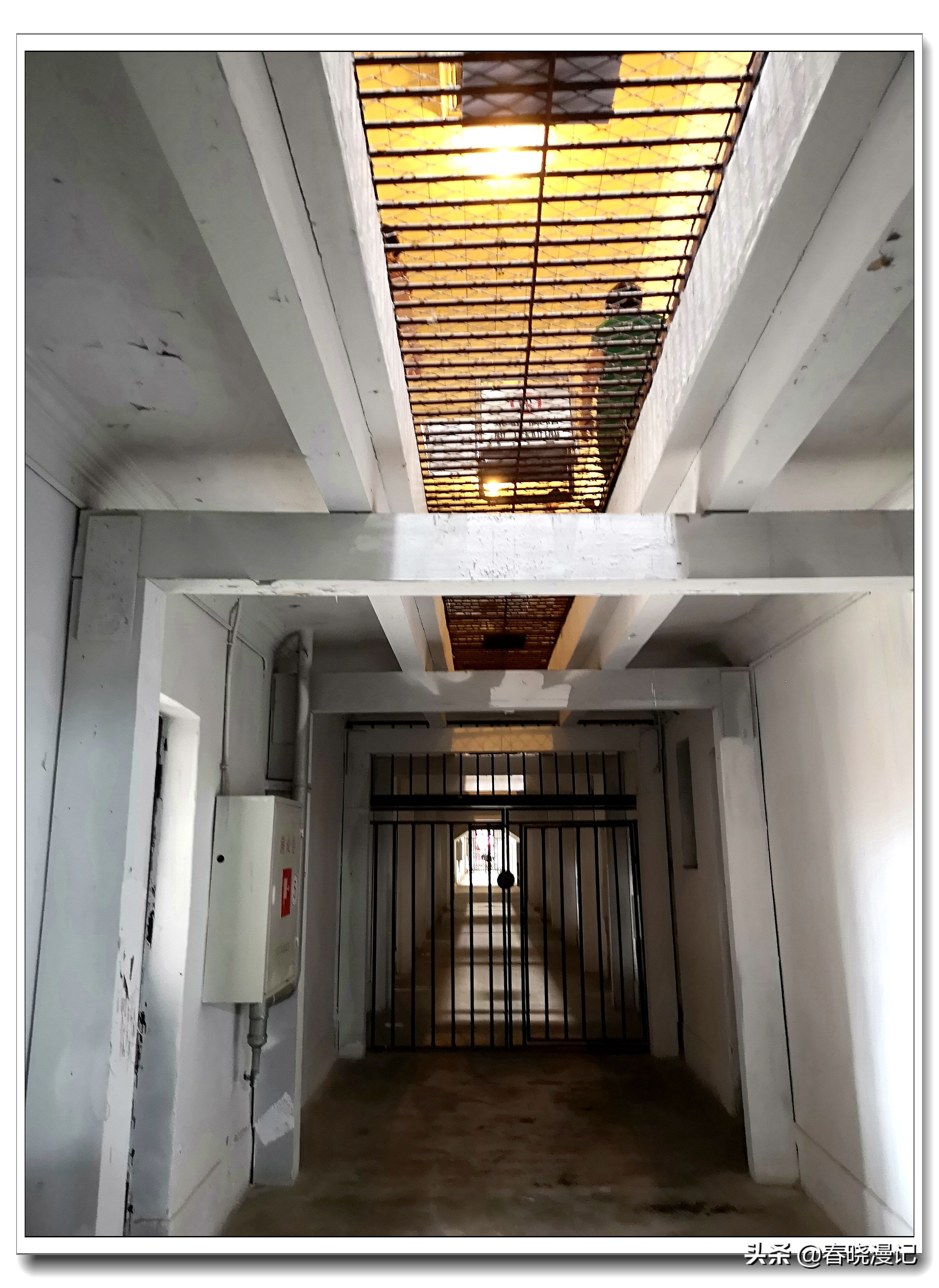 鍙傝鏃呴『鐖卞浗涓讳箟鏁欒偛鍩哄湴鏃ヨ,鏃呴『鏄ユ父鐖卞浗涓讳箟鍏洯