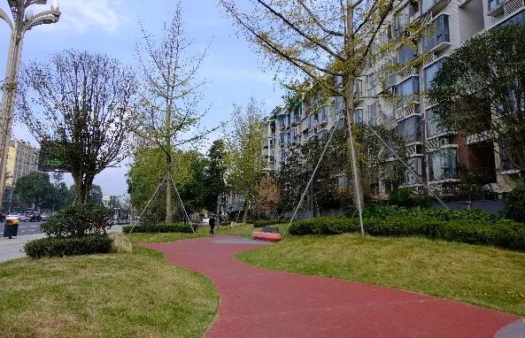 美了美了!涉及双流四个街区,34条街道!在你家附近吗?