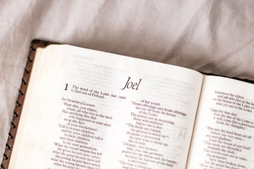 sql查询优化最快的方法,如何对慢sql做sql查询优化