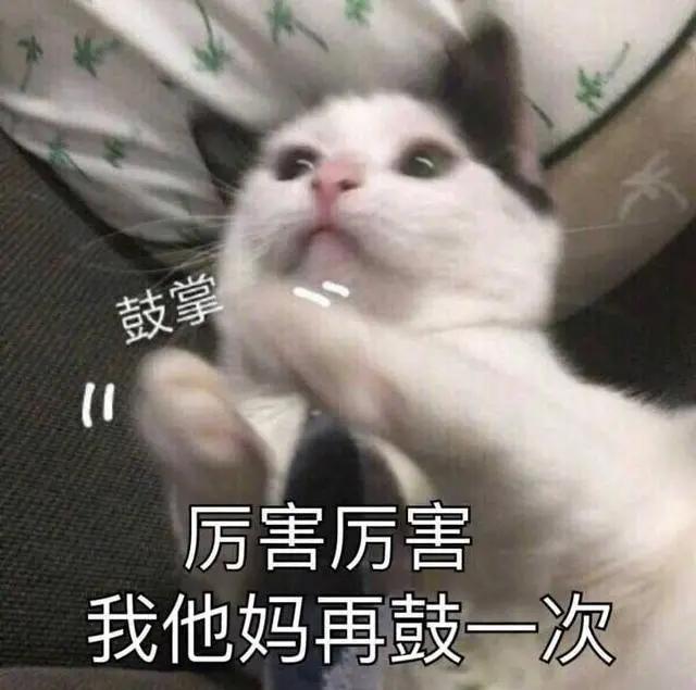 奇怪的知识增加了动图,奇怪的知识又增加了表情