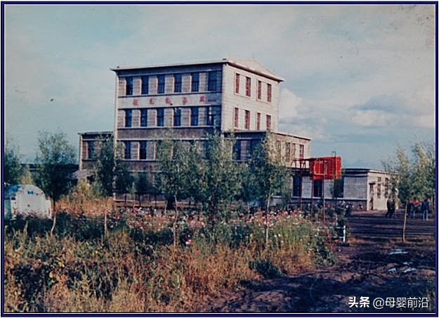 飞鹤冷友斌：*局破**品牌桎梏，国产奶粉“城寨渐兴”