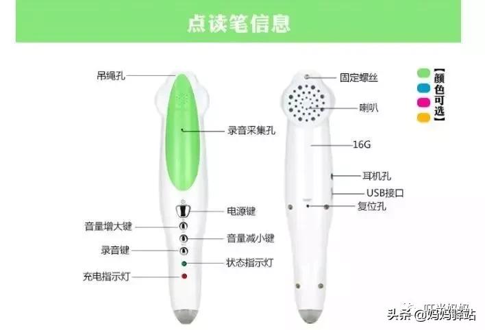 有道点读笔和阿尔法点读笔测评,有道词典笔与毛毛虫点读笔的区别