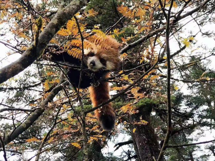 征服男人的终极必杀技,怎样征服男人的法宝