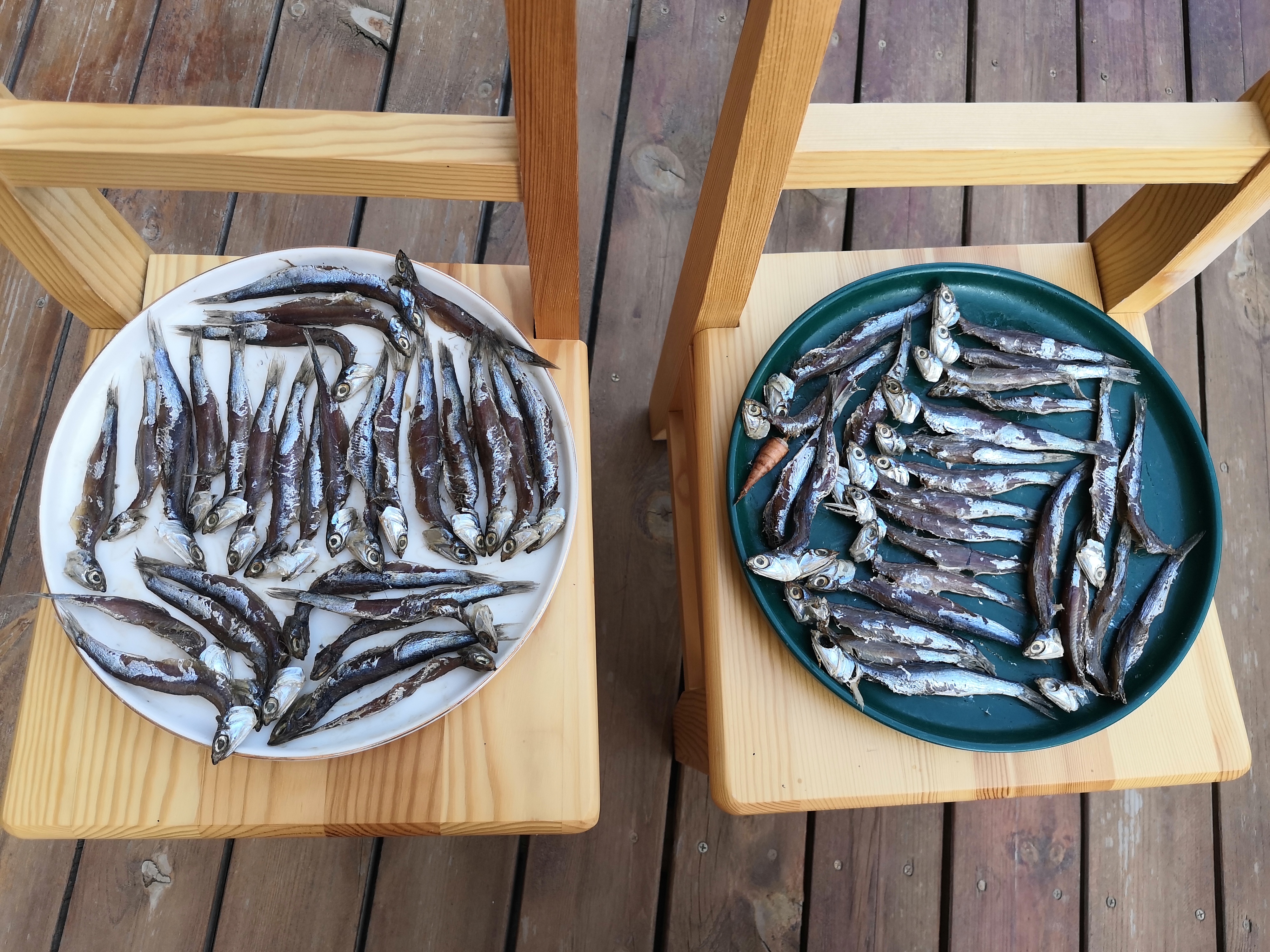 30年前的鱼干怎么做,渔民怎么晒鱼干