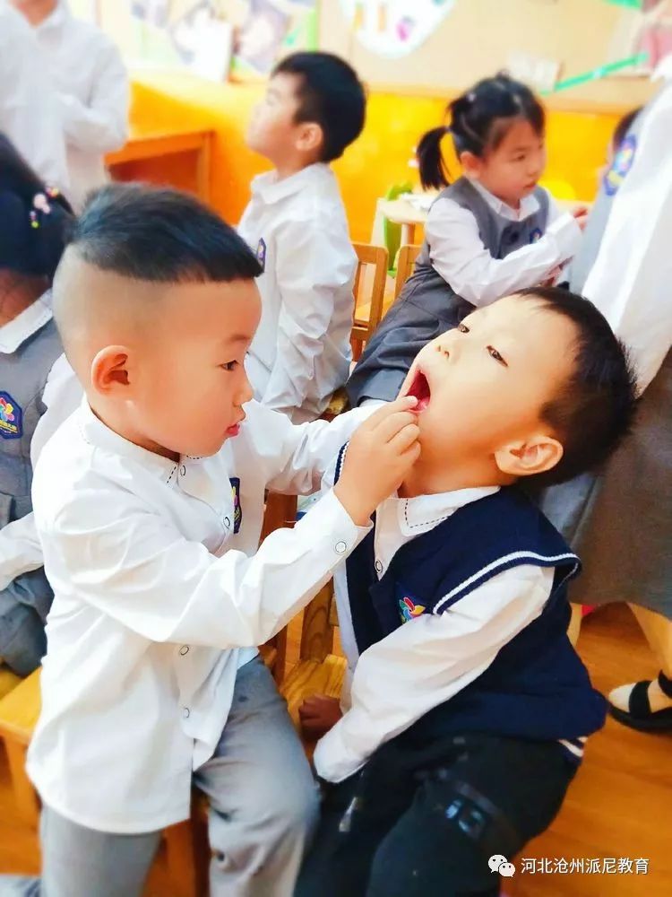 身体大揭秘动画,身体大揭秘