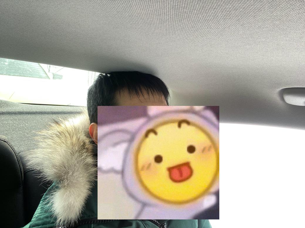 老树开新花--深度体验现代第六代Elantra附北美租车出游详记