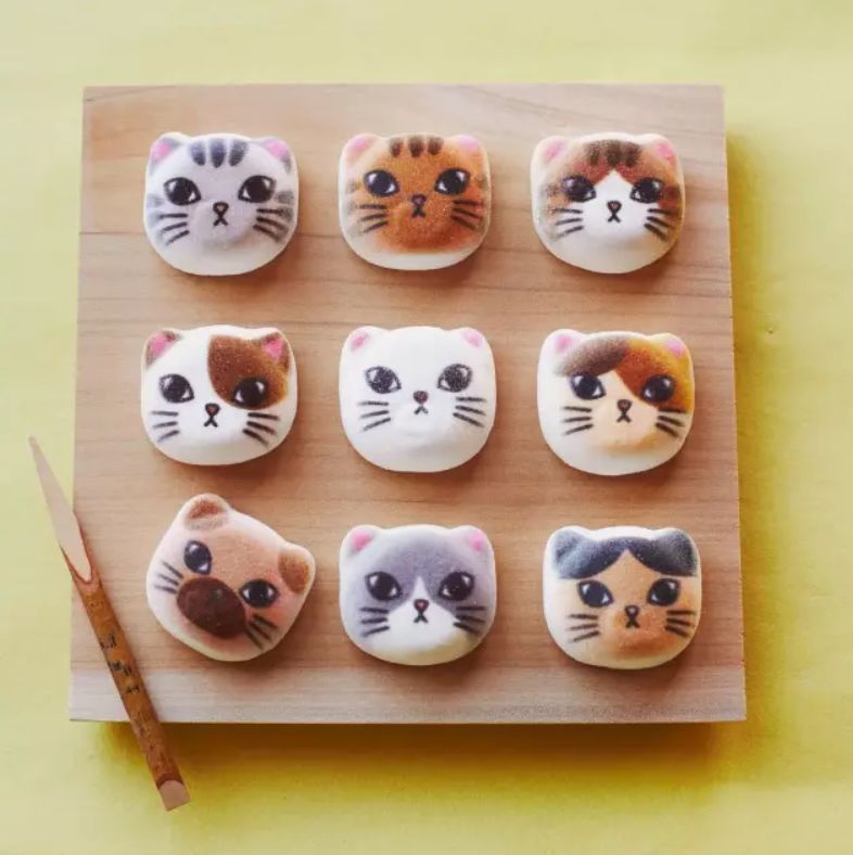 360度“云吸猫”？日本这家猫咪商店简直爱了