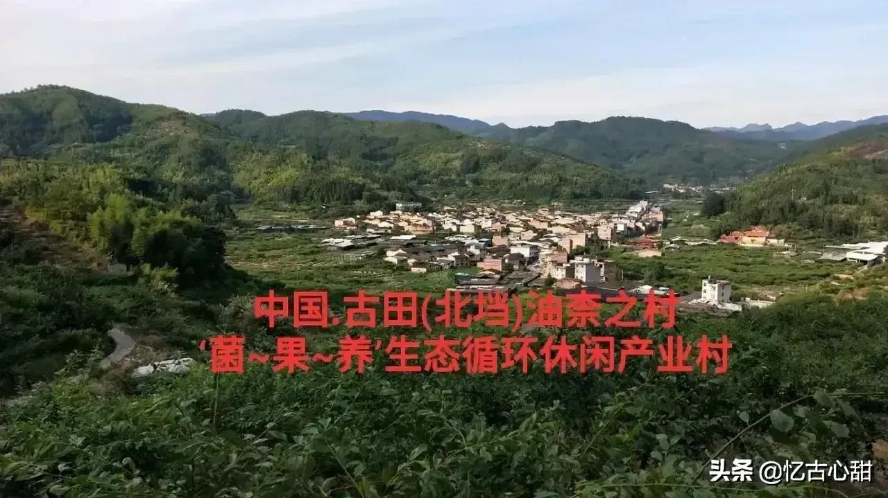 金牌土壤医疗师文龙老师谈“自然农法”，酵素和微生物菌改良土壤