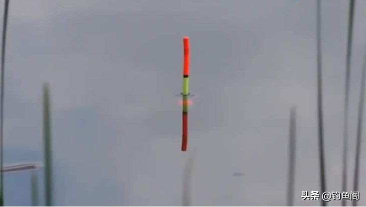 芦苇和纳米浮漂哪个好抛竿,芦苇和纳米漂哪个吃铅量大