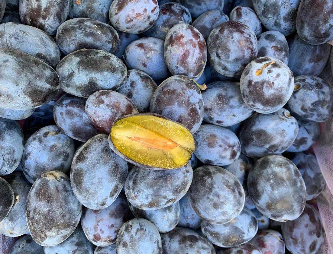 白露节气最佳水果,白露过后应季水果