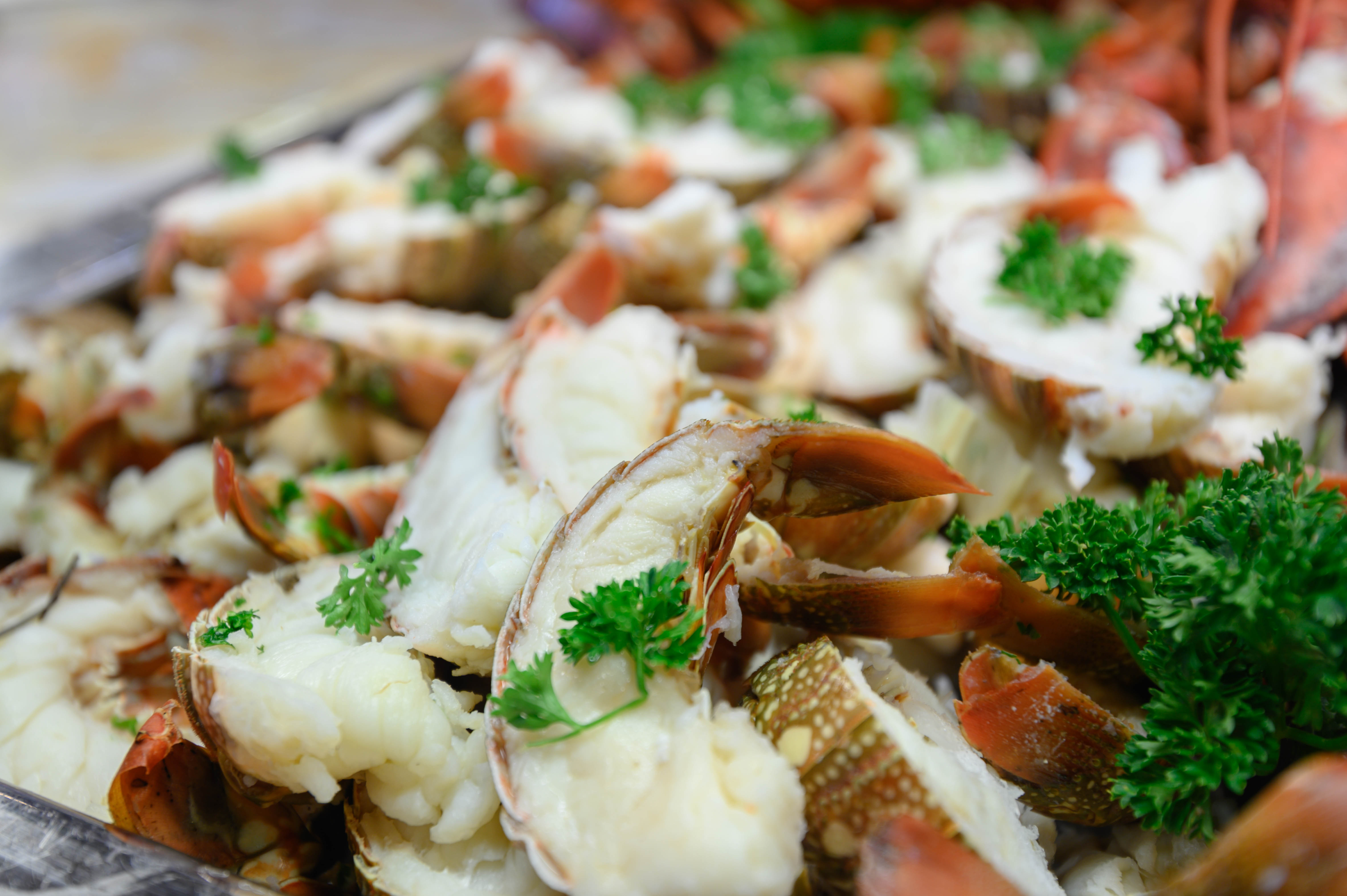 世界第一艘豪华邮轮,世界最大豪华邮轮首航