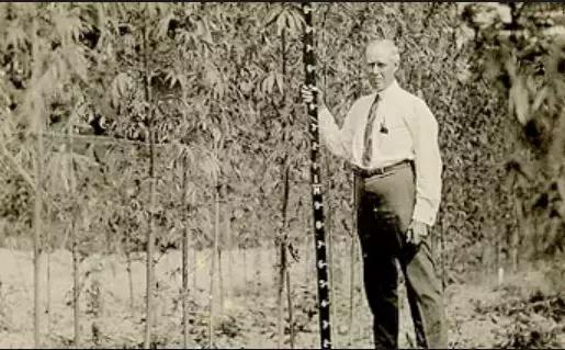 加拿大是怎么成为发达国家的,加拿大是怎么成为一个国家的