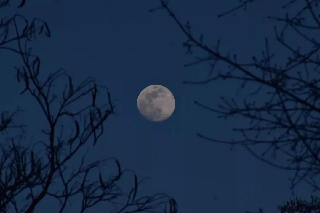 中秋没有月亮怎么拜月,中秋赏月没有月亮