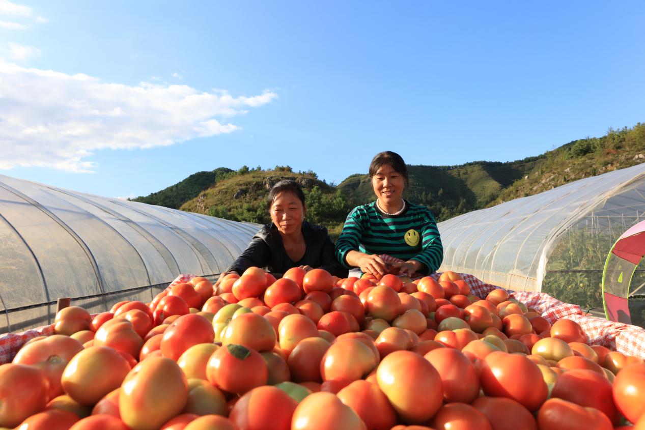 赫章县易地扶贫搬迁2批,赫章县河镇乡易地扶贫搬迁房