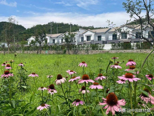 低碳村,低碳乡村建设