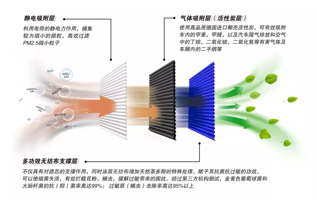 泰德和米克说：过敏体质是一种什么体验