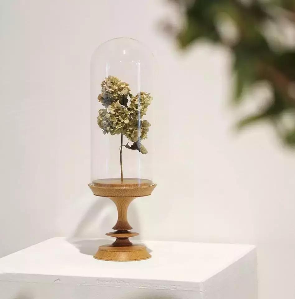 干花各种效果,干花的使用方法大全