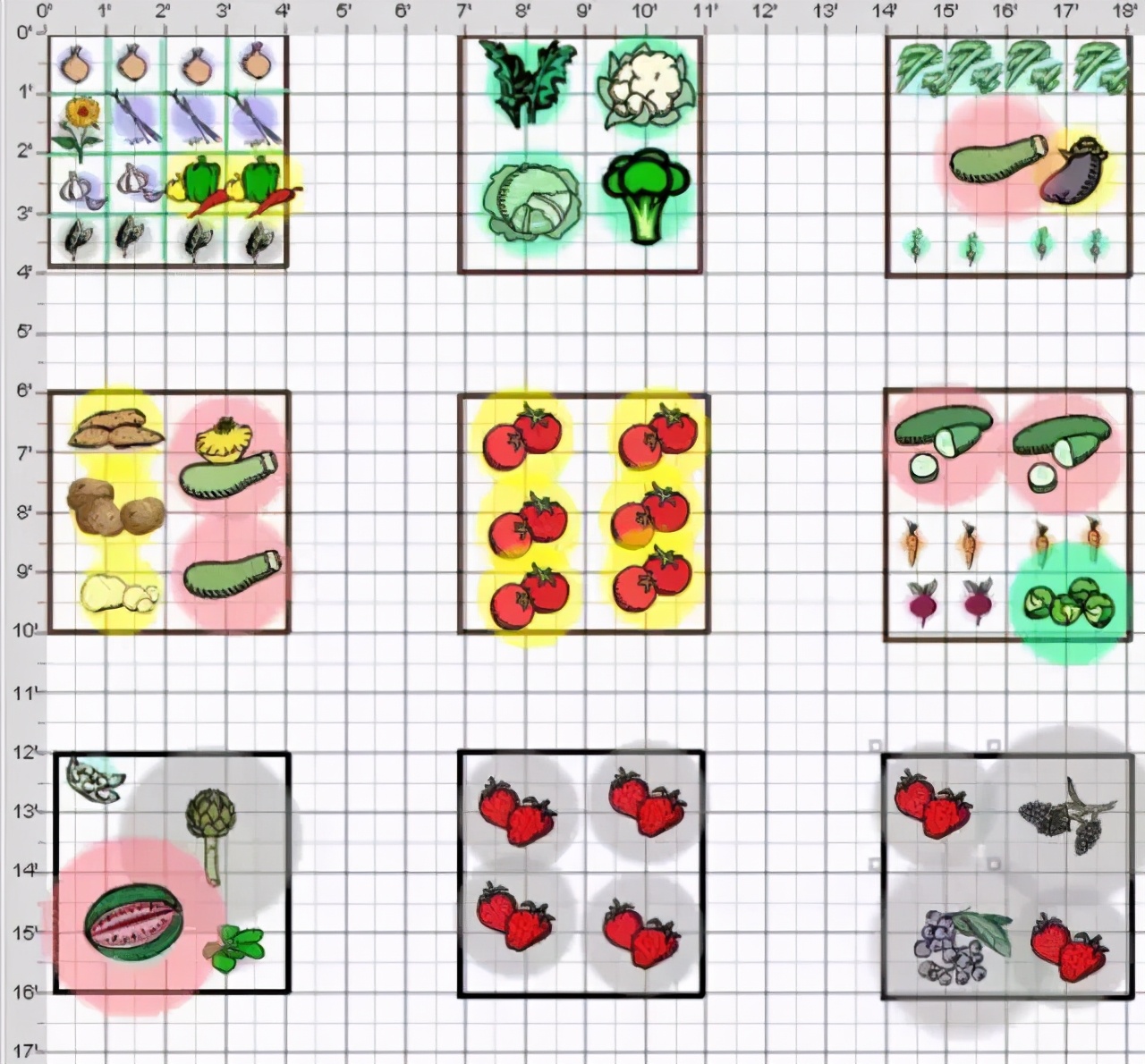 小型菜园怎么合理利用,1米菜园立体菜园