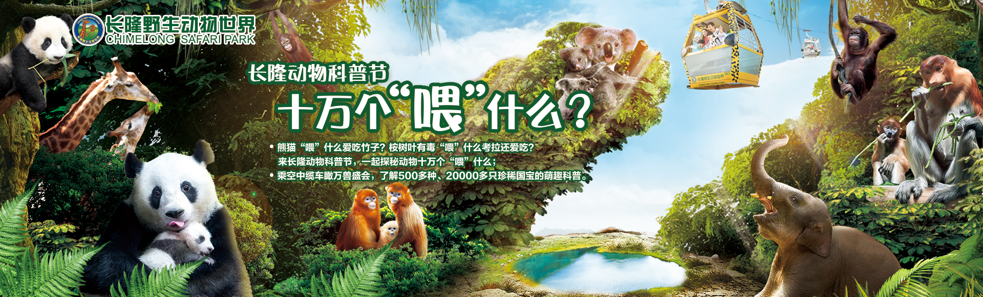 长隆野生动物园攻略一天玩,长隆野生动物园3天游玩攻略