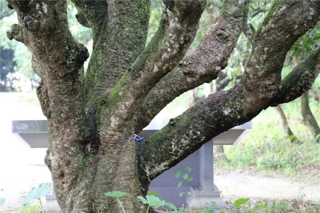 检察蓝用心守护海洋蓝,检察蓝守护最美夕阳红