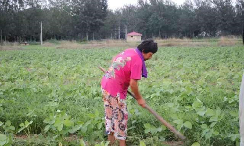 谈谈对山东的认识和了解,关于山东你不得不知的十大事实