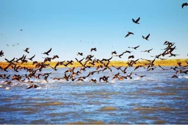 22路旅游专线,十条精品绿色旅游线路