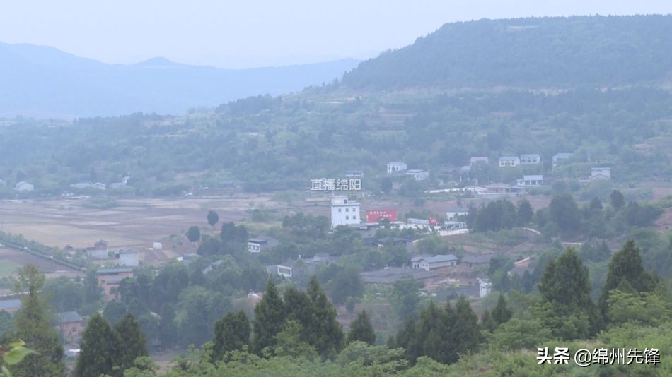 新闻宣传报道助推乡村振兴,新闻媒体助力乡村振兴