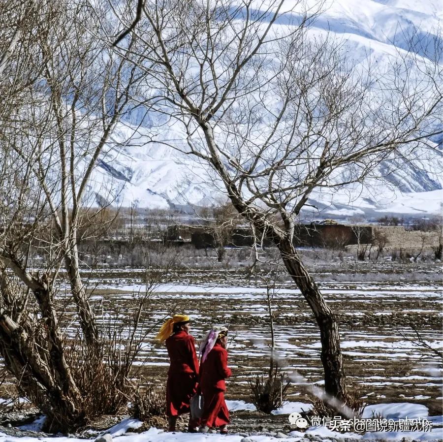 帕米尔高原的春天图片,帕米尔高原的微笑