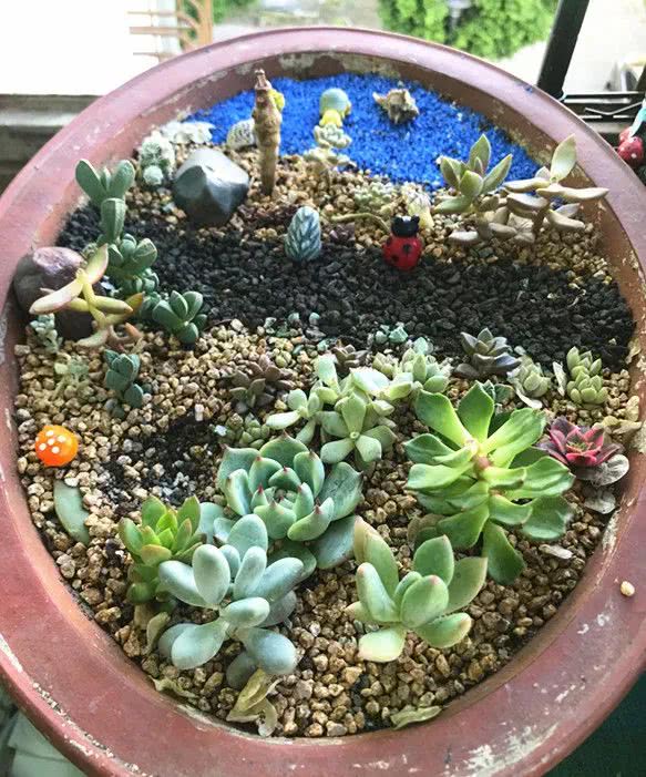 顺风不浪逆风不怂文字图片,顺风不飘逆风不怂绝境不慌