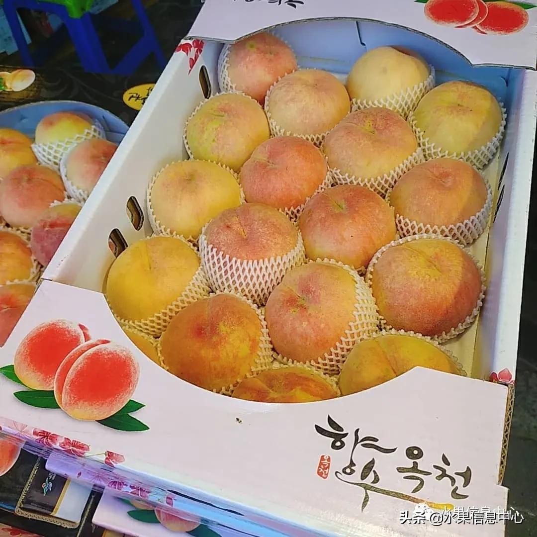 韩国的蔬菜水果批发市场,韩国最便宜的苹果水果