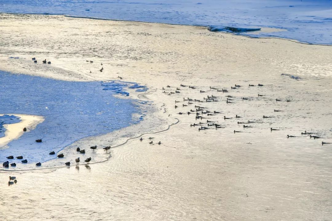 最好看的雾凇,为什么吉林的雾凇最知名