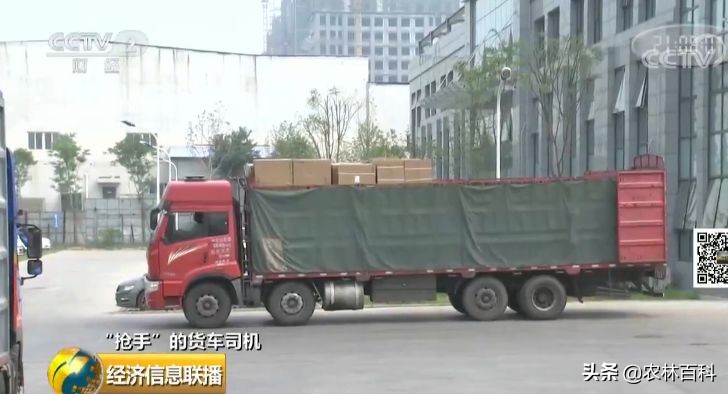 高薪招聘货车司机月入过万,缺个司机月薪50万