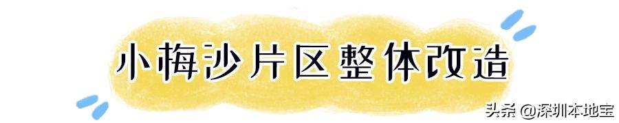 深圳市盐田区综合发展规划,深圳改革开放40周年盐田发展规划