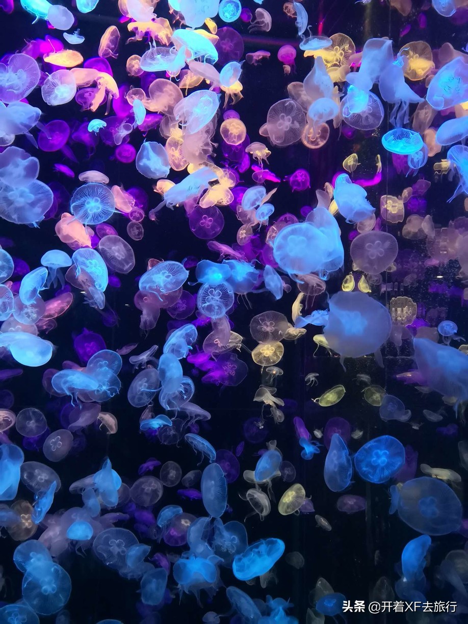 说走就走的旅行攻略省钱一天,说走就走的旅行攻略大全