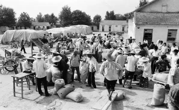 交公粮的农民老照片,农村交公粮老照片