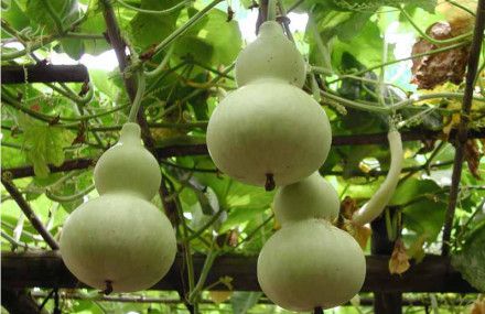 深圳周末小众好去处,深圳大鹏小众旅游景点