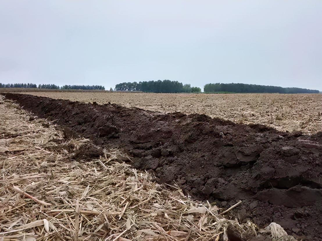 鹤岗晚上新闻,五一鹤岗