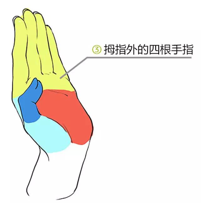 画动漫人物女生的手部教程,动漫人物的手怎么画简单又漂亮